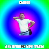 СЫНОК А НУ ПРИНЕСИ МОИ ТРАВЫ