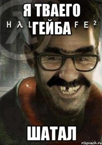 Я тваего Гейба Шатал