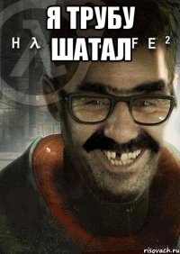 я трубу шатал 