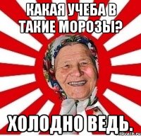 Какая учеба в такие морозы? ХОЛОДНО ВЕДЬ.