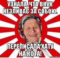 Узнала, что внук незливає за собою. Переписала хату на кота!