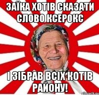 Заїка хотів сказати слово ксерокс і зібрав всіх котів району!