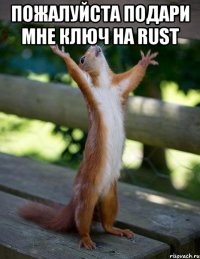 Пожалуйста подари мне ключ на RUST 