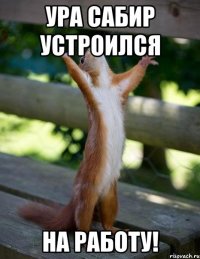 УРА САБИР УСТРОИЛСЯ НА РАБОТУ!