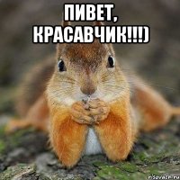 Пивет, красавчик!!!) 