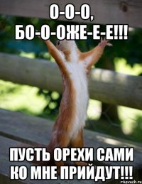 О-о-о, Бо-о-оже-е-е!!! ПУСТЬ ОРЕХИ САМИ КО МНЕ ПРИЙДУТ!!!