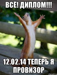 ВСЁ! ДИПЛОМ!!! 12.02.14 ТЕПЕРЬ Я ПРОВИЗОР