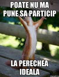 poate nu ma pune sa particip la perechea ideala