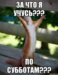 За что я учусь??? По субботам???