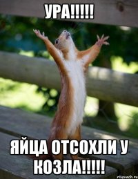 Ура!!!!! Яйца отсохли у козла!!!!!