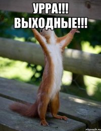 Урра!!! Выходные!!! 