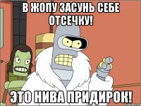В жопу засунь себе отсечку! Это нива придирок!