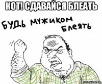 Кот! Сдавайся блеать 