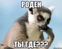 РОДЕН ТЫ ГДЕ???