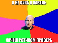 я не сука я кабель хочеш ротиком проверь