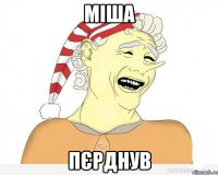 МІША ПЄРДНУВ