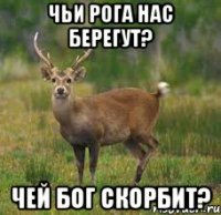 Чьи рога нас берегут? Чей бог скорбит?