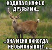 Ходила в кафе с друзьями... ...она меня никогда не обманывает