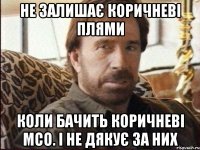 не залишає коричневі плями коли бачить коричневі мсо. і не дякує за них