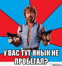  У вас тут Янык не пробегал?