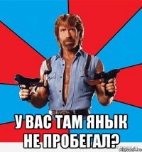  У вас там Янык не пробегал?