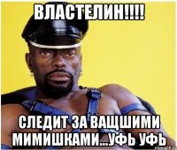 Властелин!!!! Следит за ващшими мимишками...уфь уфь