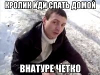 Кролик иди спать домой Внатуре четко