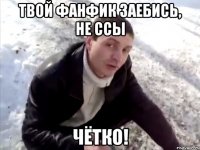 Твой фанфик заебись, не ссы Чётко!
