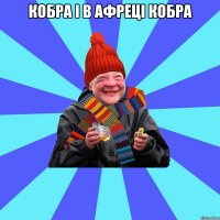 Кобра і в Афреці кобра 