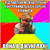 ВІД ПАВЛІКА МОЖНА ТІЛЬКИ КУНІ ПРИЙМАТЬ,БО КОБРУ НЕ ВПІЙМАТИ ВОНА В ДЖУНГЛЯХ !