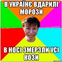 в українє вдарилі морози в носі змерзли усі кози