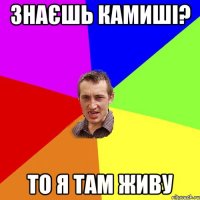 знаєшь камиші? то я там живу