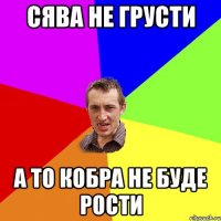 Сява не грусти а то кобра не буде рости