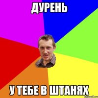 дурень у тебе в штанях