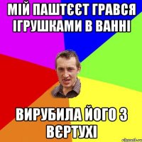 Мій ПаштЄЄт грався ігрушками в ванні ВИРУБИЛА ЙОГО З ВЄРТУХІ