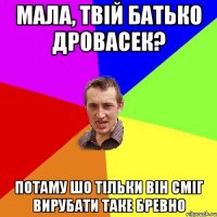 Мала, твій батько дровасек? Потаму шо тільки він сміг вирубати таке бревно