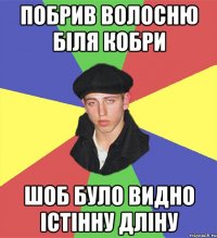 побрив волосню біля кобри шоб було видно істінну дліну