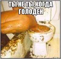ты не ты,когда голоден 