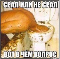 Срал или не Срал Вот в чём вопрос