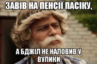 завів на пенсії пасіку, а бджіл не наловив у вулики