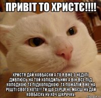 Привіт То Христє!!!! Христя дай ковбаски а то я вже 3 неділі дивлюсь на той холодильник а він все під колодкою та підколодкою, та пожалій вже на решті свого кота!!! Ти що серця не маєш ну дай ковбаску ну хоч шкручку.