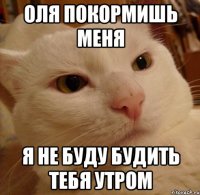 Оля покормишь меня Я не буду будить тебя утром