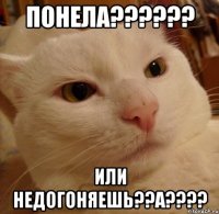 Понела?????? или недогоняешь??а????