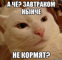 А чё? Завтраком нынче не кормят?
