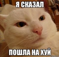 я сказал пошла на хуй