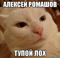 Алексей Ромашов ТУПОЙ ЛОХ