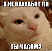 а не ваххабит ли ты часом?