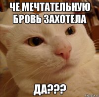 че мечтательную бровь захотела да???