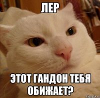 Лер Этот гандон тебя обижает?