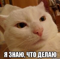  я знаю, что делаю